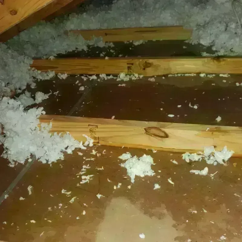 Attic Water Damage in Higginsville, MO